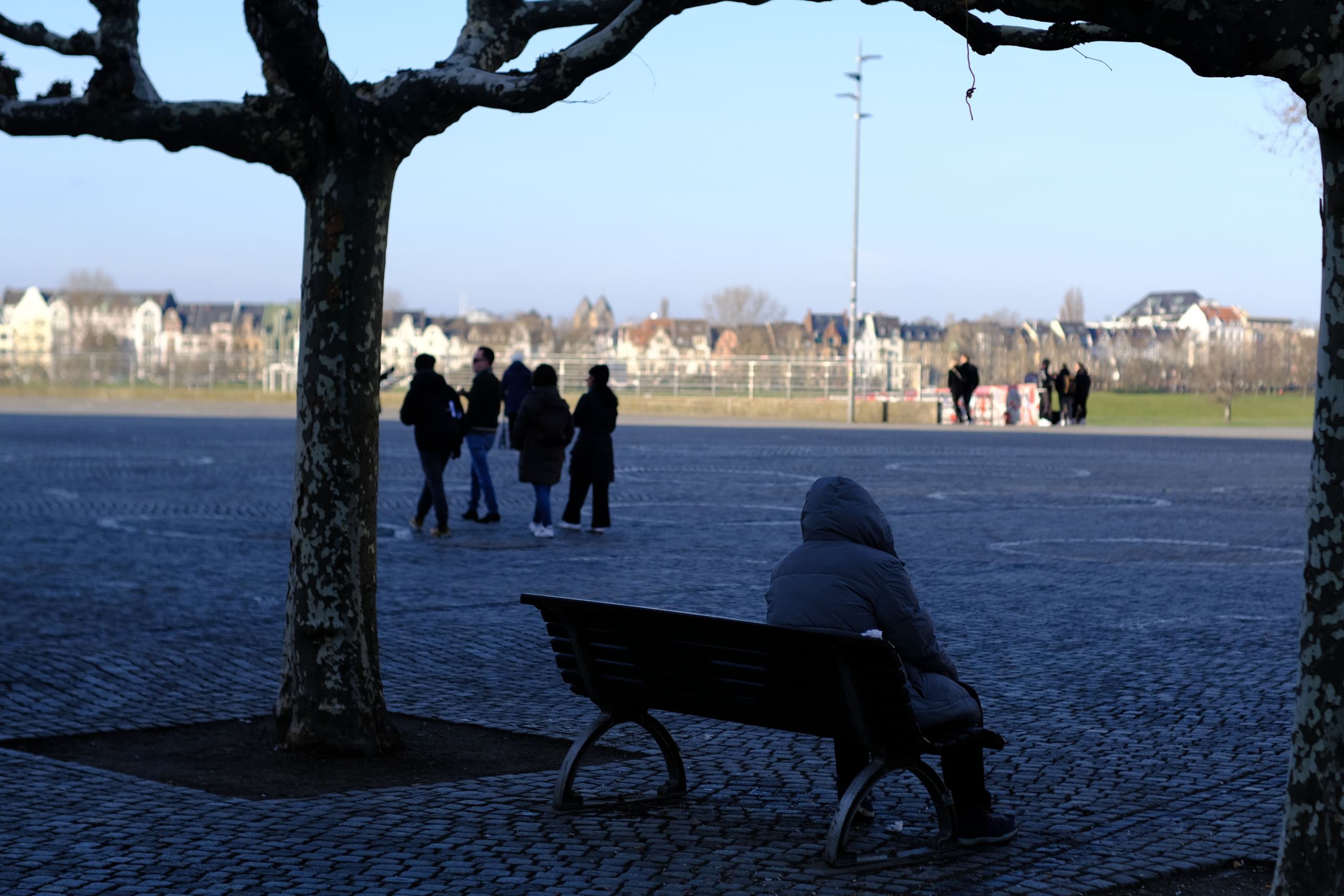 7Artisans 50mm f1.2 on Fujifilm X-PRO3