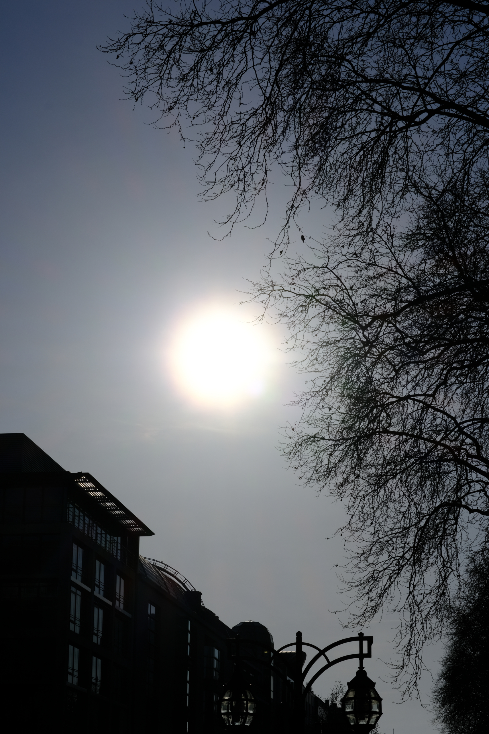 7Artisans 50mm f1.2 on Fujifilm X-PRO3