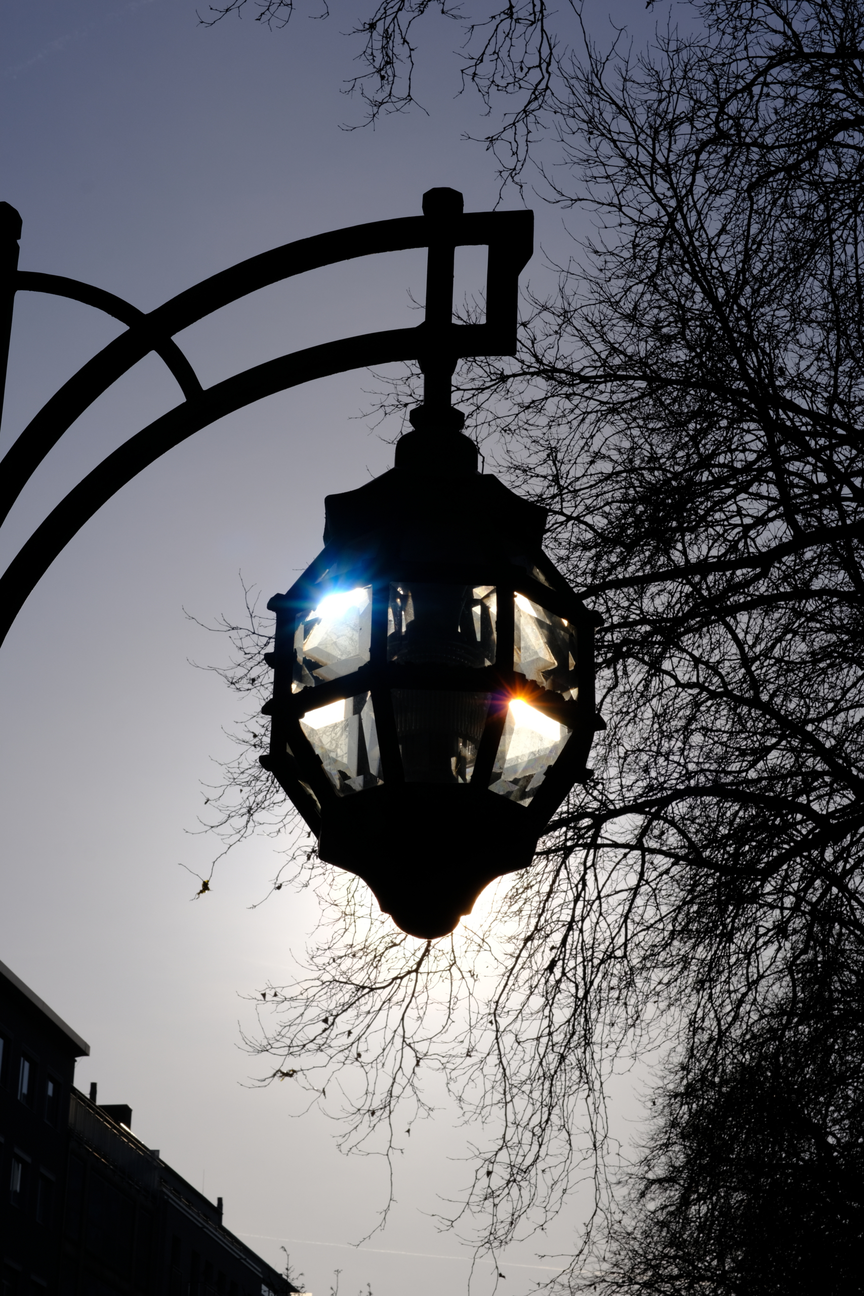 7Artisans 50mm f1.2 on Fujifilm X-PRO3